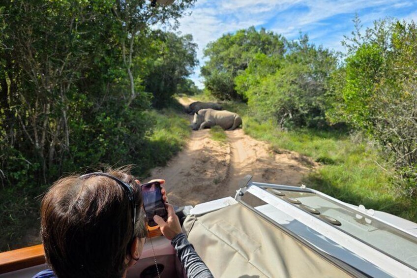 Half-Day Schotia Game Reserve (Open 4x4 Safari Vehicle) 3