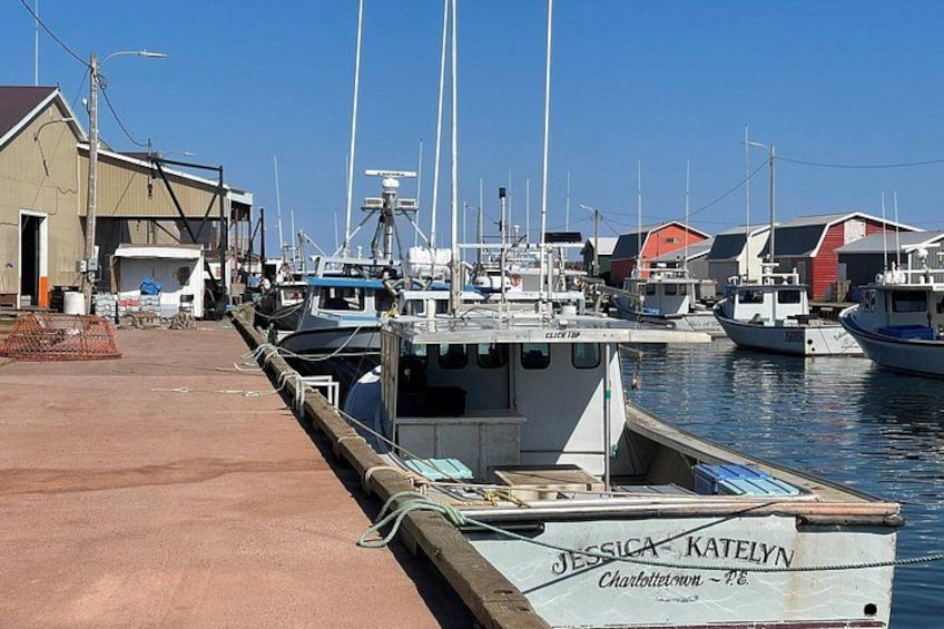 Driving Through Time: A Self-Guided Tour of Tignish to North Cape 5