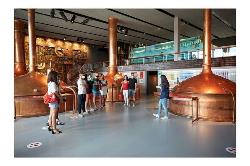 Guided Visit to the Estrella Galicia Museum with Cheese Pairing 2