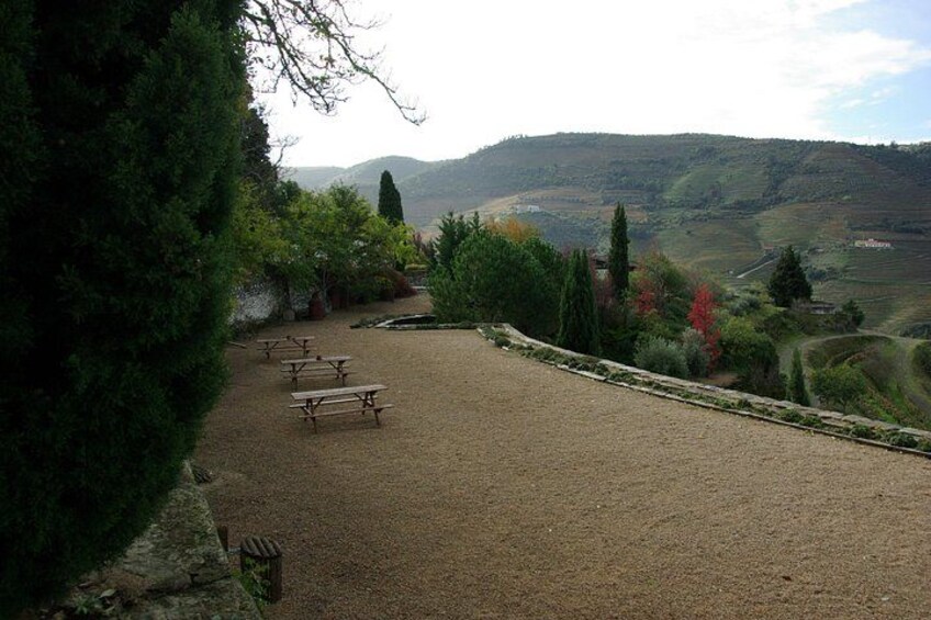 Private Alto Douro Wine Tour, from Porto 1