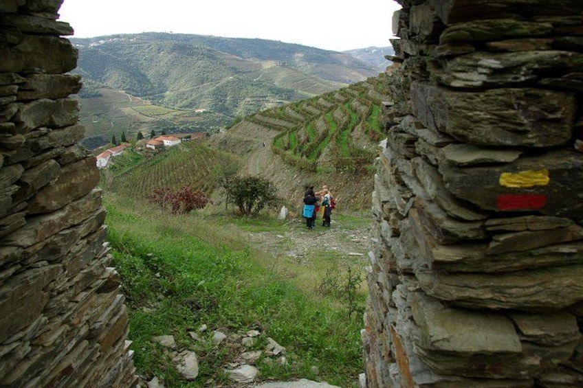 Private Alto Douro Wine Tour, from Porto 2