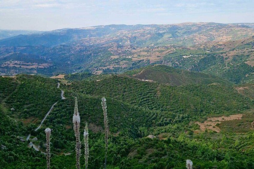 Lula Monte Albo Hiking Tour 2