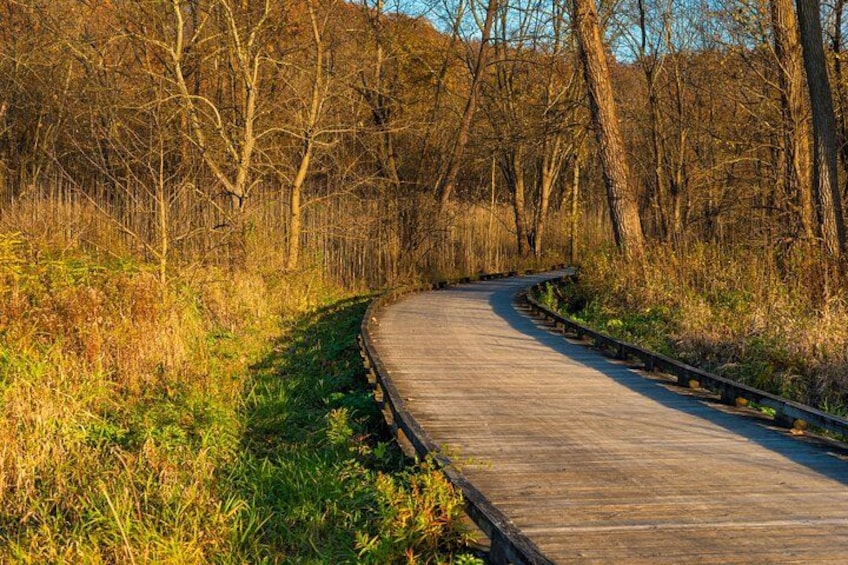 A wooden boardwalk winding through a wooded area. 2
