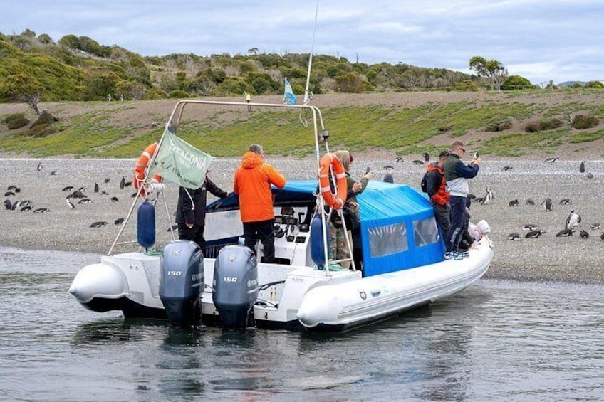A boat with people on it, near a shore with birds. 3