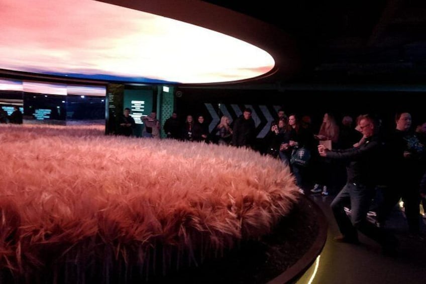 Guinness Family Tour VIP Access to Guinness Storehouse 3