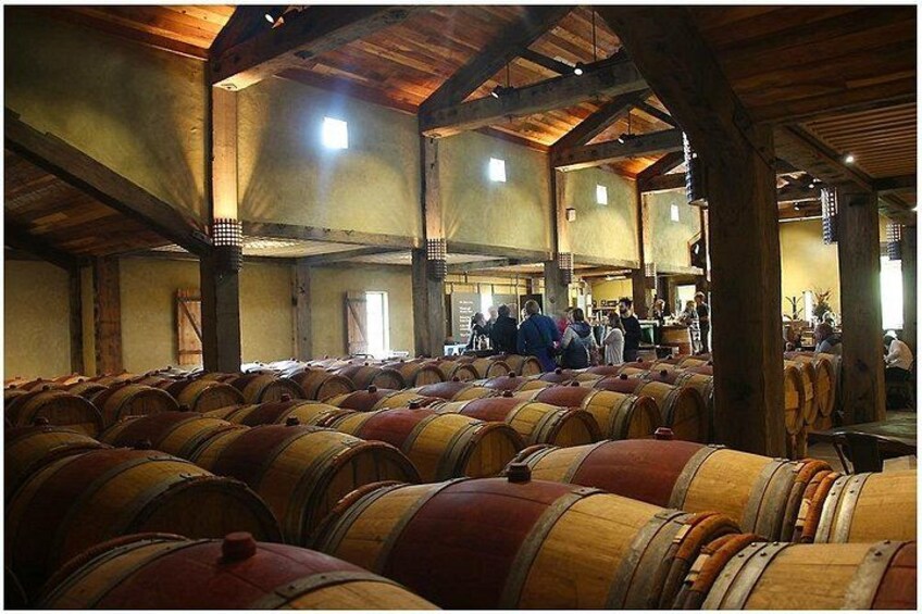 Small Group - Half-Day Hawke's Bay Winery Tour 3