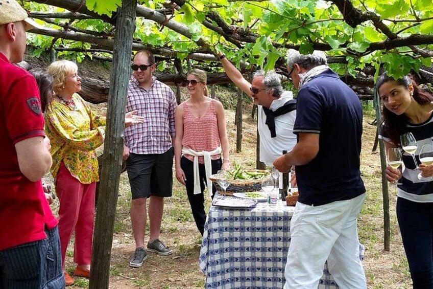 Amalfi Coast & Local Wine Tasting Experience from Salerno 3