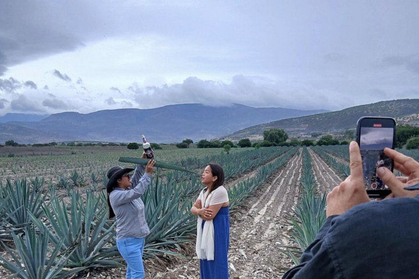 The Mezcal Tour 4