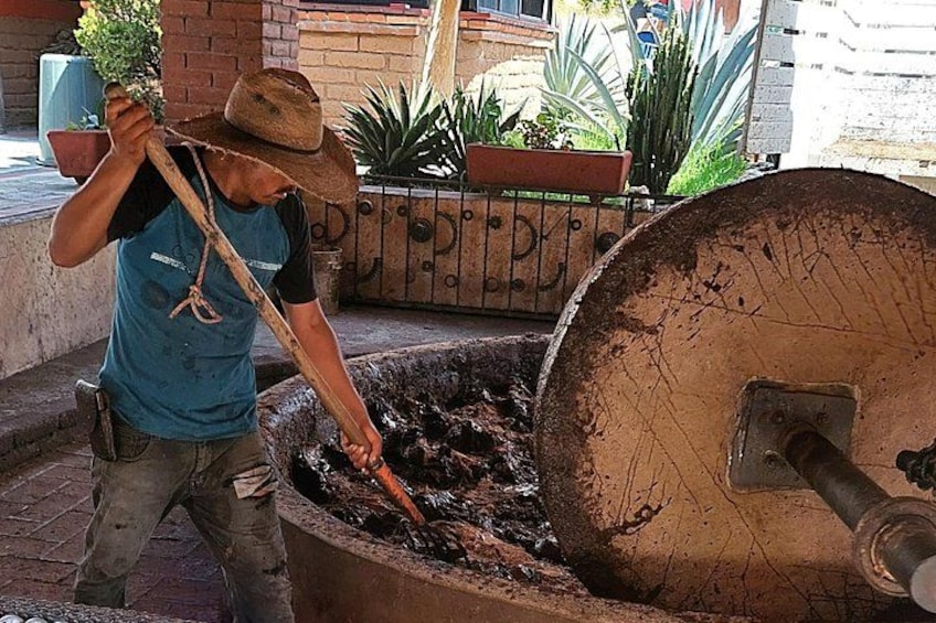 The Mezcal Tour 1