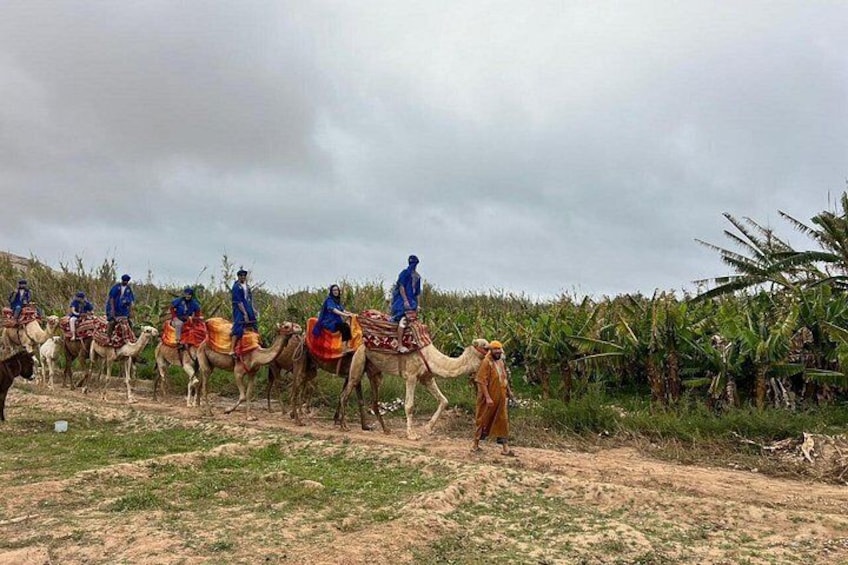 Safari Camel Ride in Banana Beach from Agadir 5