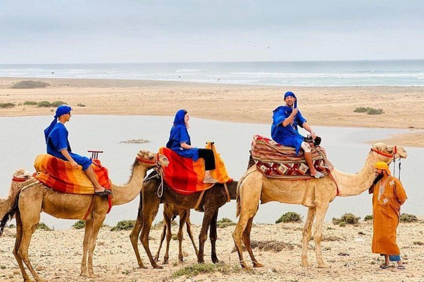 Safari Camel Ride in Banana Beach from Agadir 1