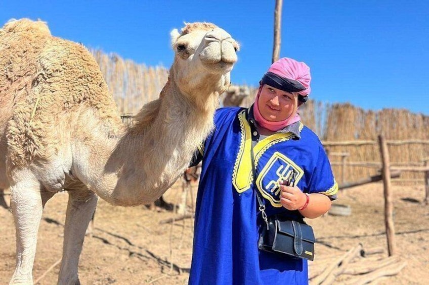 Safari Camel Ride in Banana Beach from Agadir 2