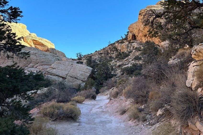 A rocky canyon with a dirt path, sparse vegetation, and a clear blue sky. 3