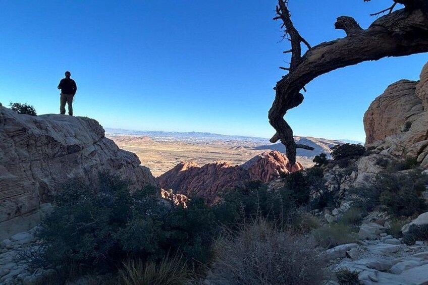 A person standing on a rock ledge overlooking a valley with a clear sky. 5
