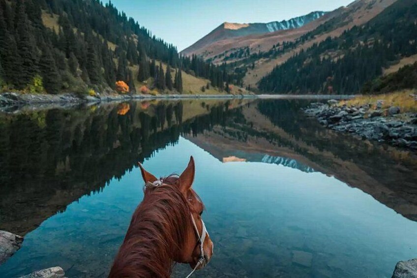Der Kopf eines Pferdes im Vordergrund, ein ruhiger See und bewaldete Berge im Hintergrund. 4
