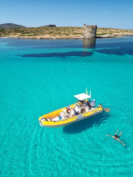 Picture 17 for Activity Stintino: Mezza giornata all' Asinara con Aperitivo a bordo 2