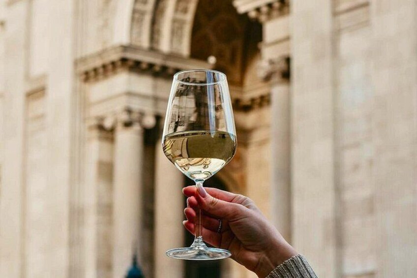 Food and Wine Tasting in Budapest City Center with Sommelier 4