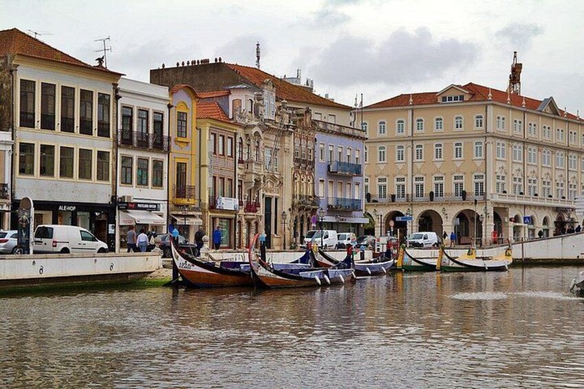 Aveiro & Costa Nova Tour from Porto with Moliceiro Cruise 4