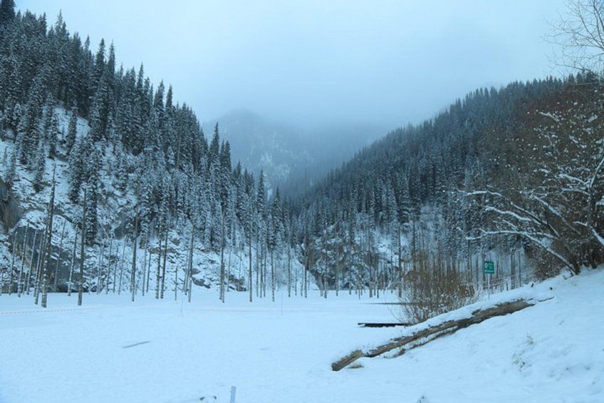 A snow-covered forest with a cabin and a road. 2