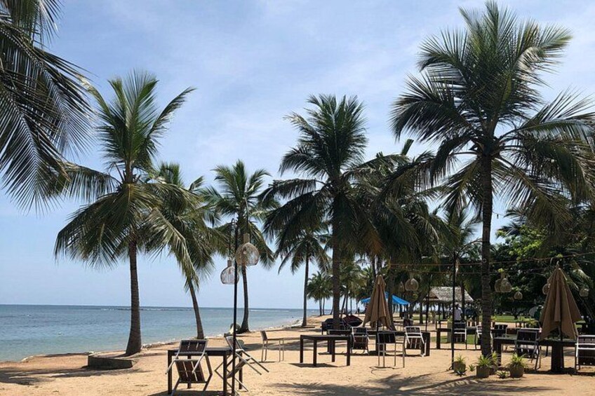 A beach with palm trees, beach chairs, umbrellas, and a clear sky. 2