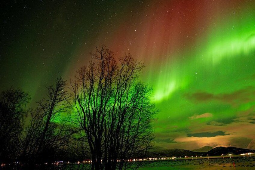 Nordlys over et landskab med træer og en fjerntliggende by. 3