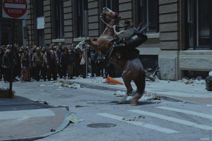 Un carruaje tirado por caballos con un jinete en una calle de la ciudad. 2
