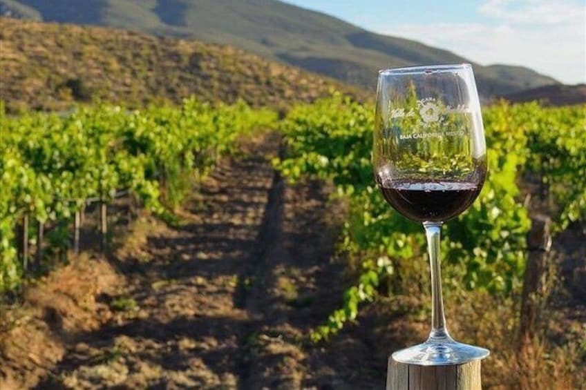 Private 10-Hour Tour: Valle de Guadalupe, Ensenada & La Bufadora 3