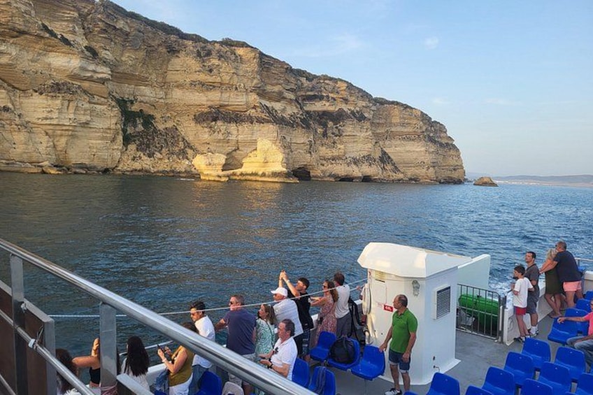 Cetacean Watching Tour 2
