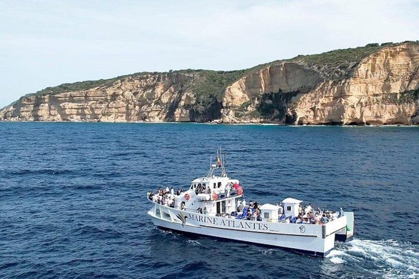 Cetacean Watching Tour 5
