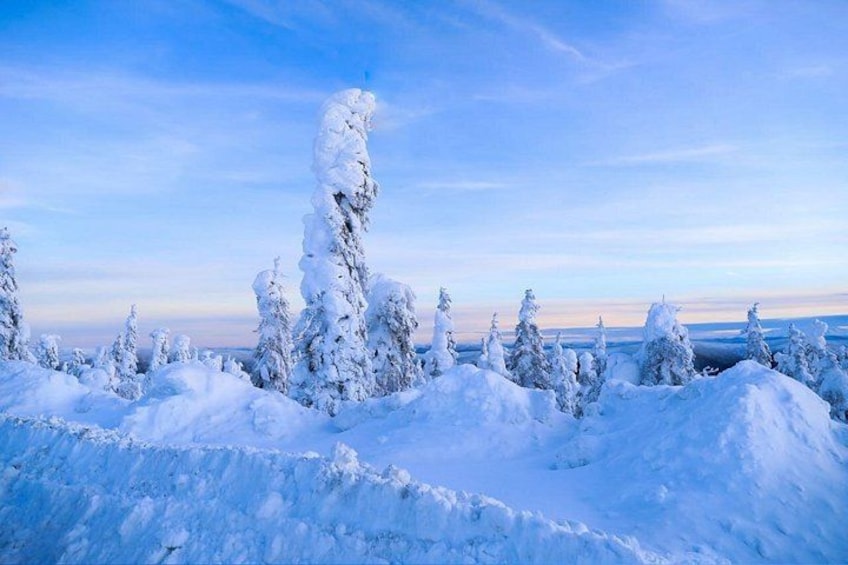 Un paisaje nevado con árboles cubiertos de nieve y un cielo despejado. 3