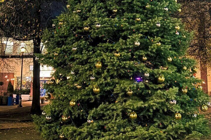 A large Christmas tree decorated with ornaments in an urban setting. 2