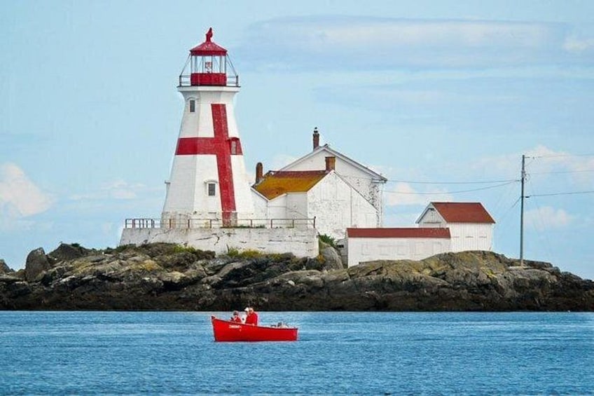 Whale Watching in Saint Andrews (NB) with Private Van Tour 3
