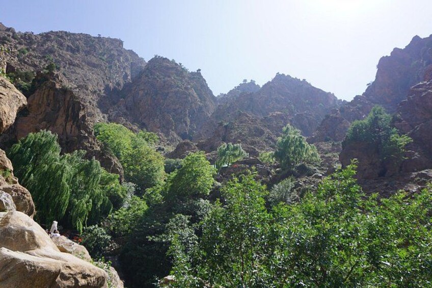 A mountainous landscape with rocky terrain and dense green vegetation. 4