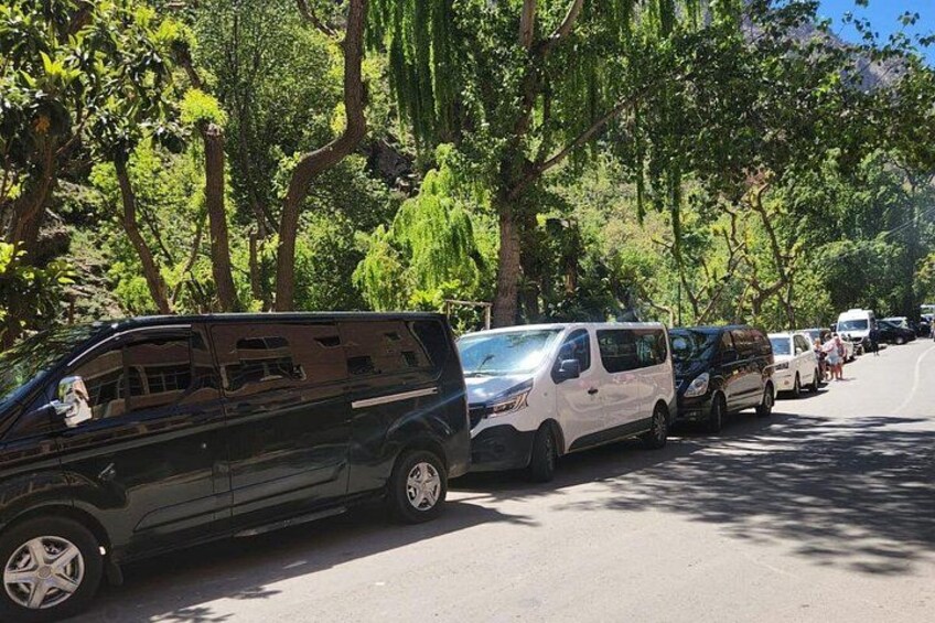 A row of parked cars along a tree-lined street. 2