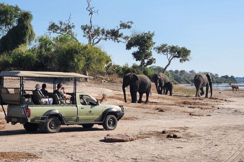 A safari vehicle with tourists observing elephants on a sandy terrain with sparse trees. 4