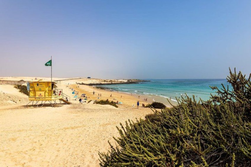 Fuerteventura North with Tapas 4