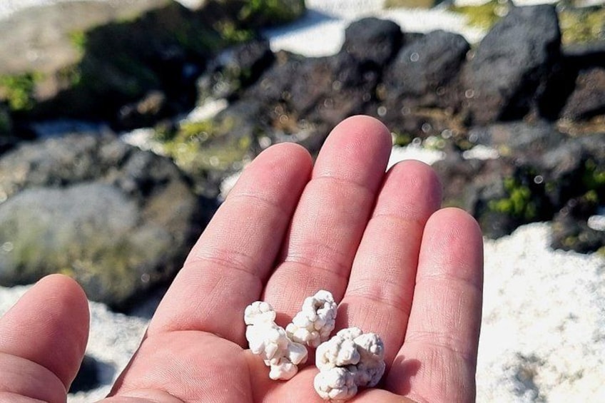 Popcorn Beach 5
