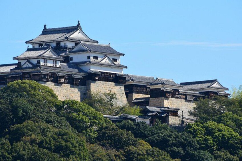 Audio Guided Tour in Matsuyama Castle 4