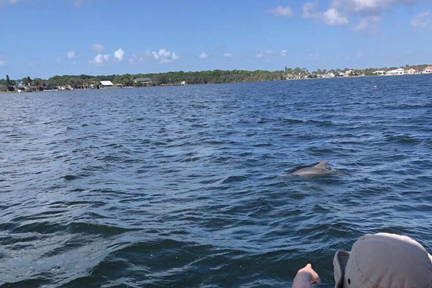 Private Dolphin Catamaran Sail In Cocoa Beach 4