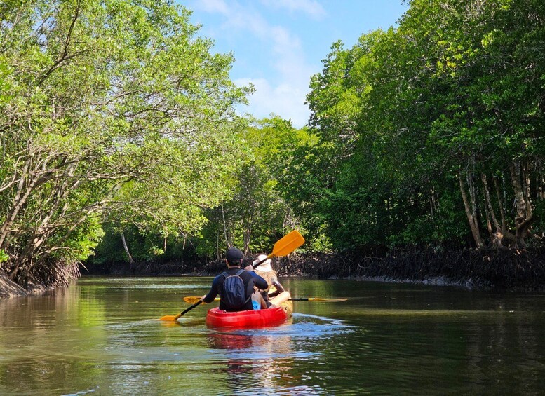 Two people kayaking on a river surrounded by dense green foliage. 1