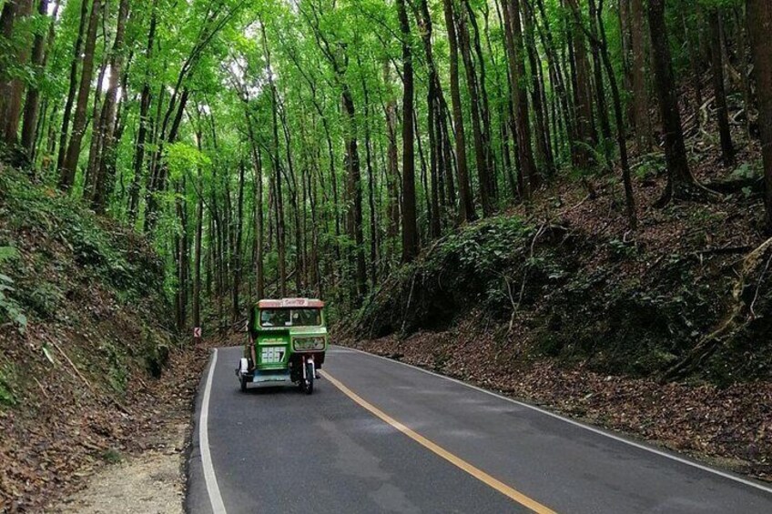 Bohol Choco Tour with Loboc River Lunch Buffet 5