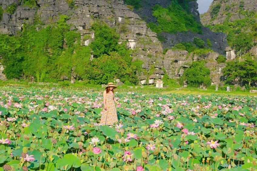 A person standing in a lotus flower field with a rocky cliff in the background. 5