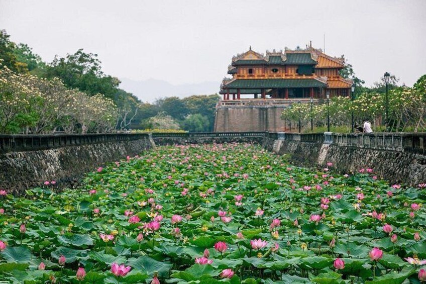 Full Day Tour Hai Van Pass and Hue City from Da Nang Hoi An 5