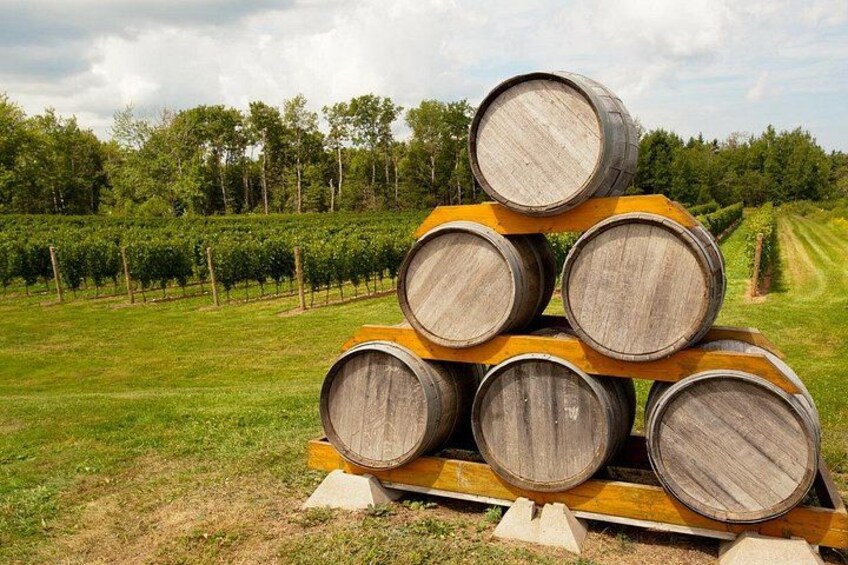Full-Day Private Nova Scotia Wine Tour from Halifax 1