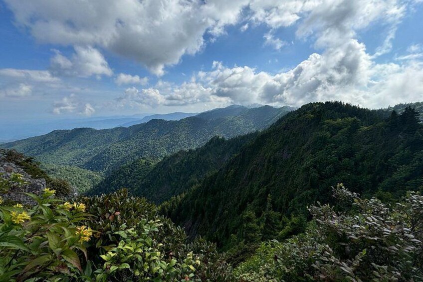 Best of the Smokies: Full-Day Private Guided Adventure 2