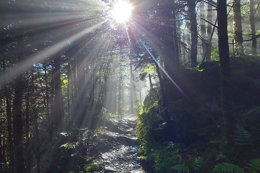 Best of the Smokies: Full-Day Private Guided Adventure 2
