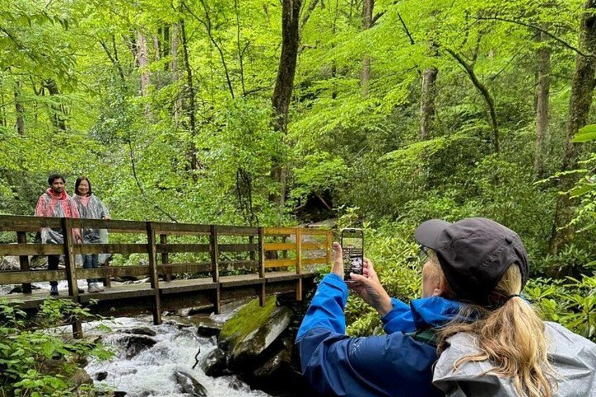 Best of the Smokies: Full-Day Private Guided Adventure 5