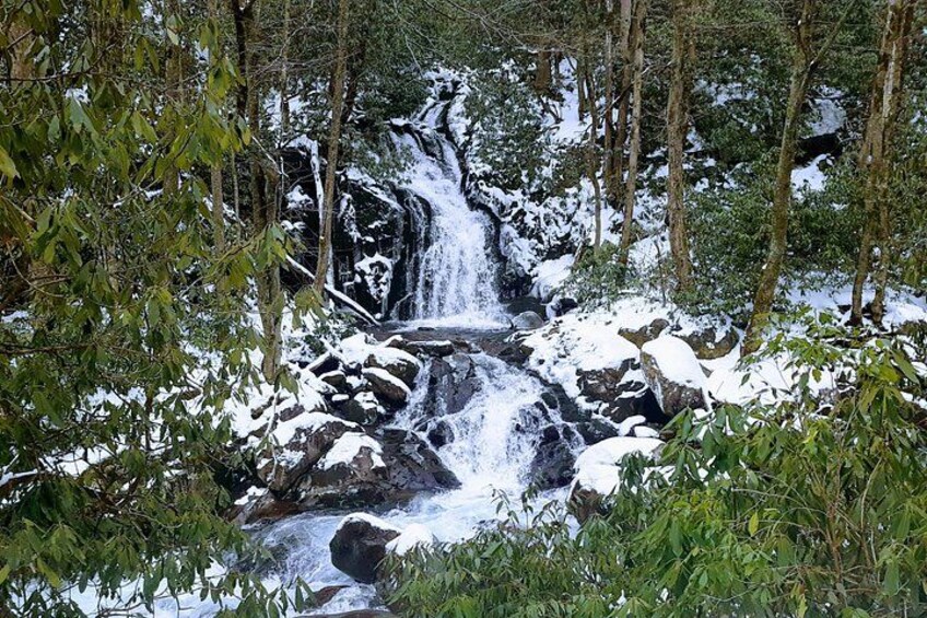 Best of the Smokies: Full-Day Private Guided Adventure 3
