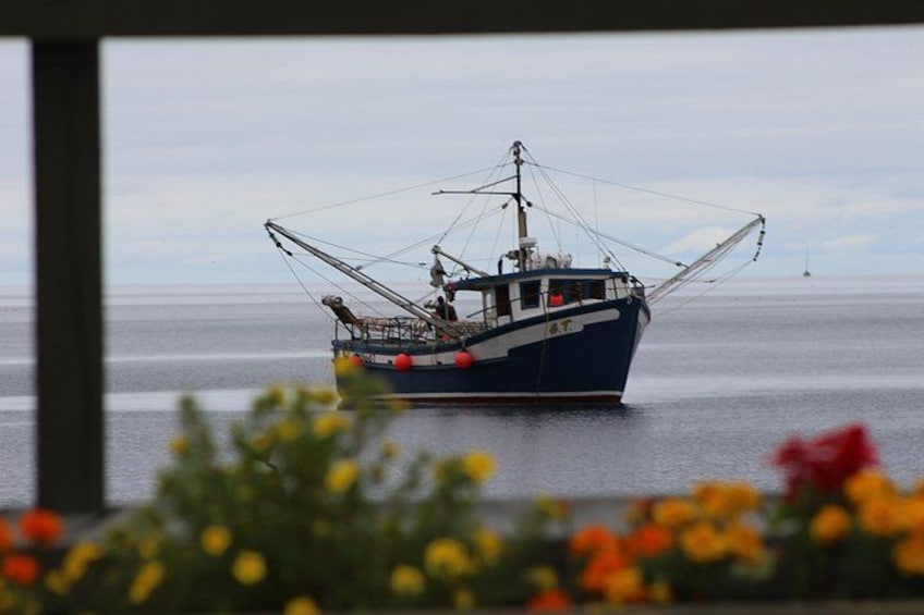 A fishing boat on calm water, viewed through a window with flowers in the foreground. 2