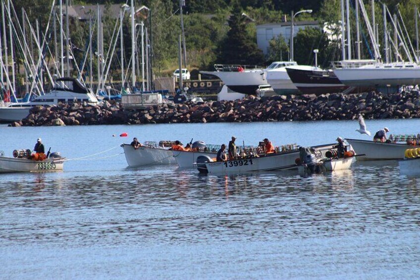 Flere små både ligger fortøjet nær en klippefyldt kyst med en lysthavn i baggrunden. 2